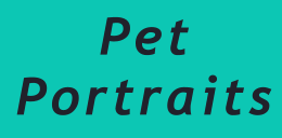 Pet Portraits